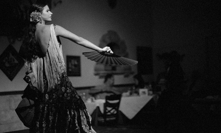 Flamenco Portrait of Ana Delgado