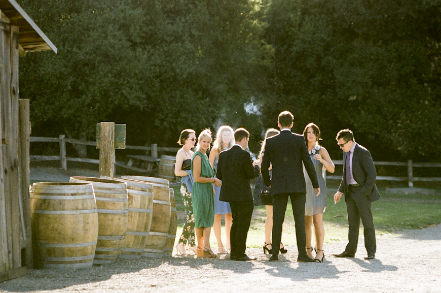 Picchetti Winery Wedding